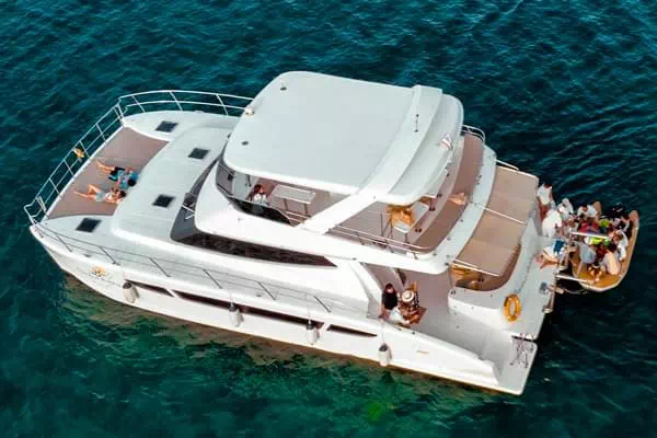 Samui Buddy motor catamaran private charter Koh Samui