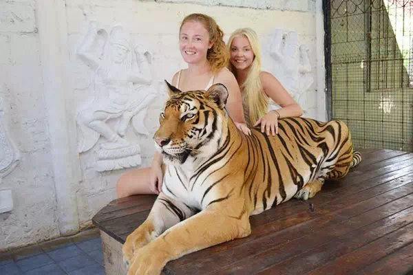 Koh Samui Aquarium and Tiger Zoo