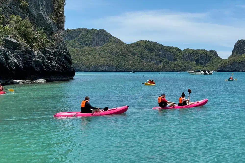 VIP Speedboat Tour to Ang Thong from Samui view 16