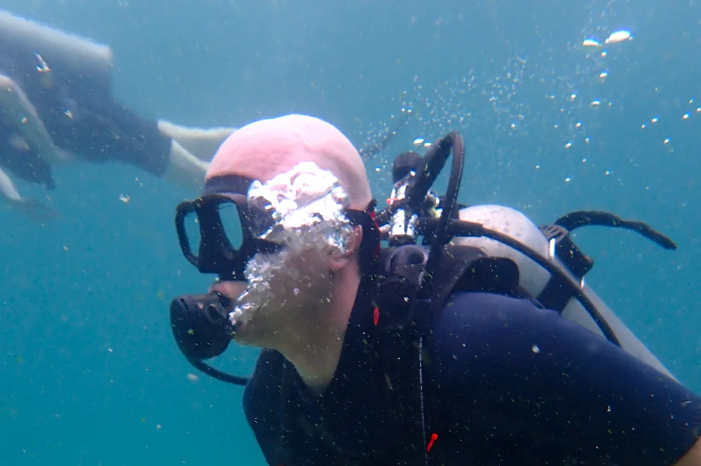 Diving from Koh Samui to Koh Tao - underwater tour
