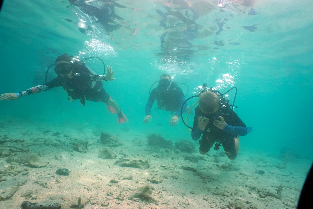 Diving at Nang Yuan from Koh Samui - corals and crystal water