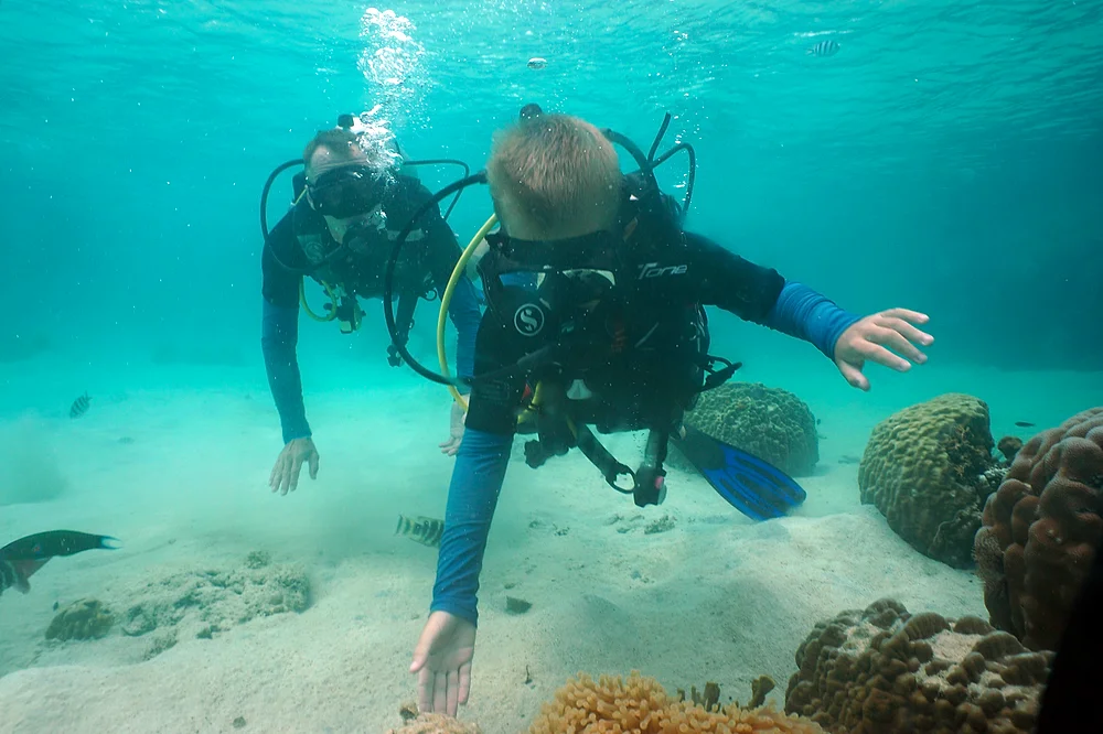 Diving Nang Yuan - clear water and underwater life