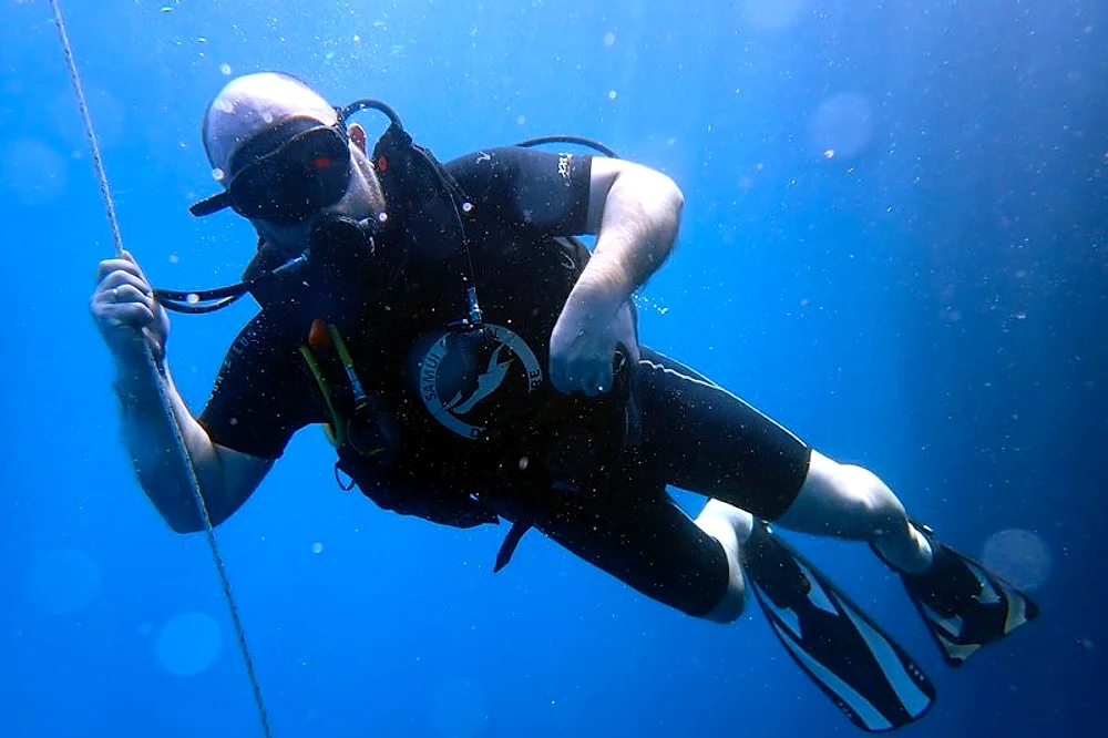 Sail Rock diving from Koh Samui - underwater pinnacle
