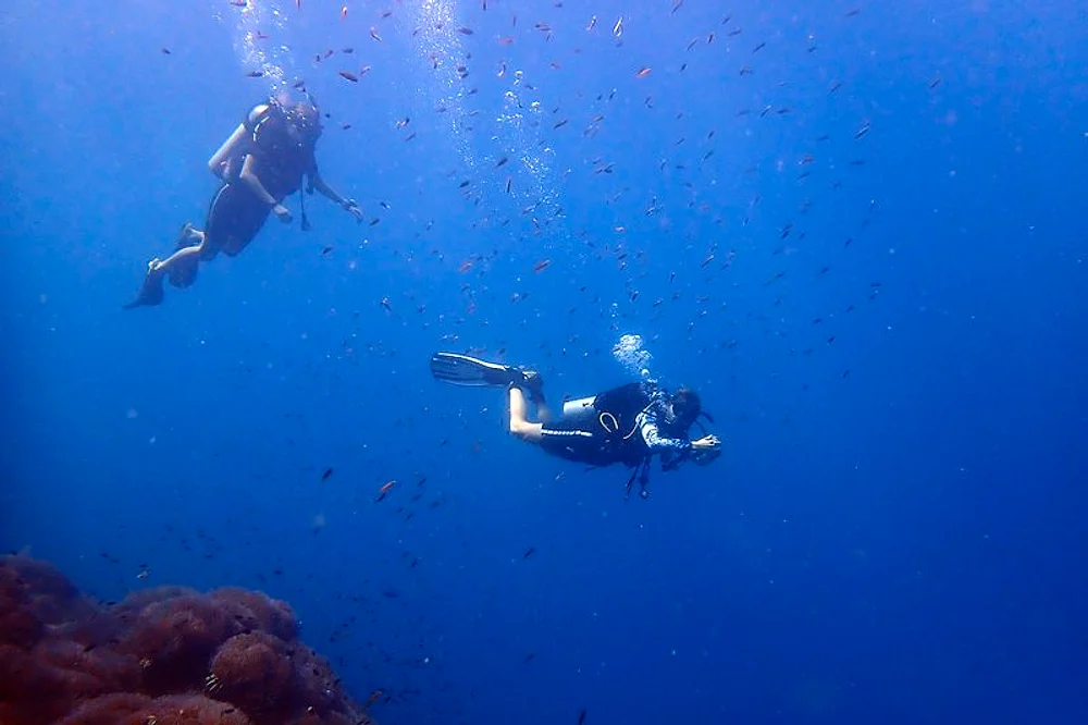 Diving Koh Samui Sail Rock - dive at the underwater pinnacle