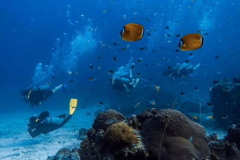 Diving on Koh Samui and Koh Tao view 2