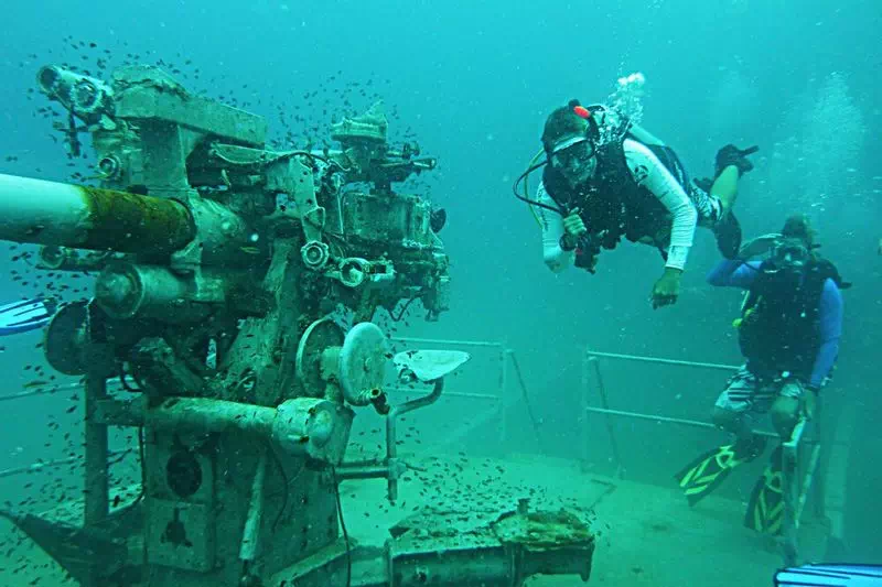 Diving on Koh Samui and Koh Tao view 9