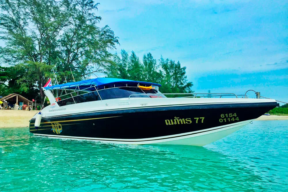 Pink dolphins tour, snorkeling at Koh Tan and Pig Island Koh Madsum view 2