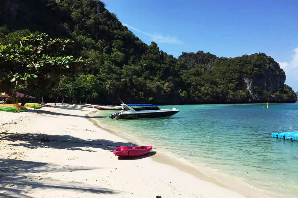 Pink dolphins tour, snorkeling at Koh Tan and Pig Island Koh Madsum view 5