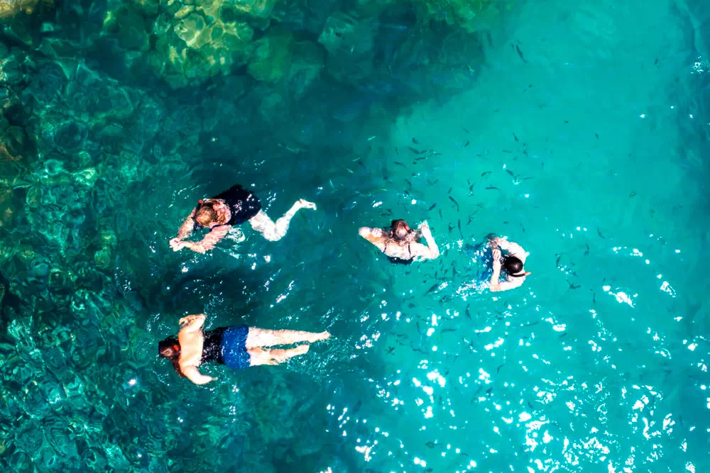 Pink dolphins tour, snorkeling at Koh Tan and Pig Island Koh Madsum view 7