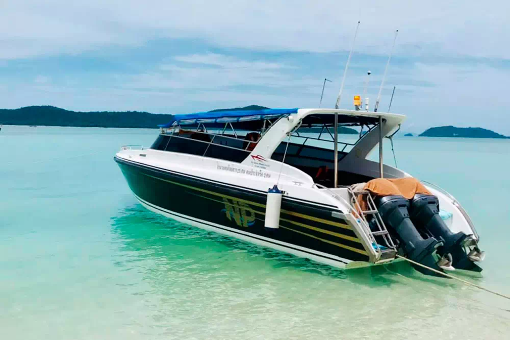 Pink dolphins tour, snorkeling at Koh Tan and Pig Island Koh Madsum view 9