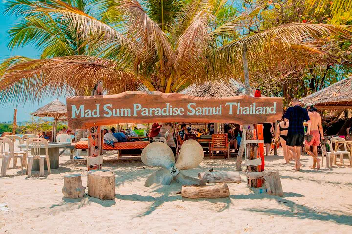 Pink dolphins tour, snorkeling at Koh Tan and Pig Island Koh Madsum view 13