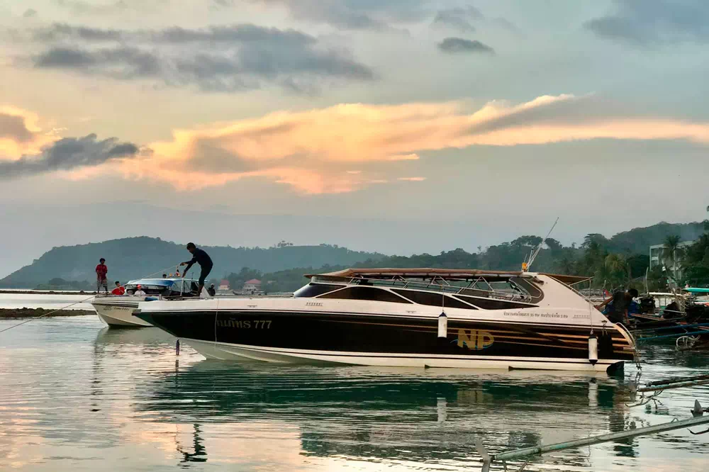 Pink dolphins tour, snorkeling at Koh Tan and Pig Island Koh Madsum view 16