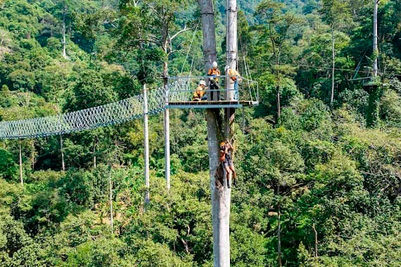 Zipline on Samui Hawk Adventure view 15