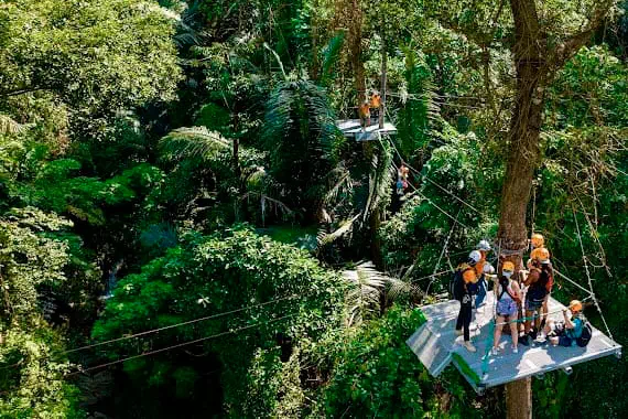 Zipline on Samui Hawk Adventure view 17