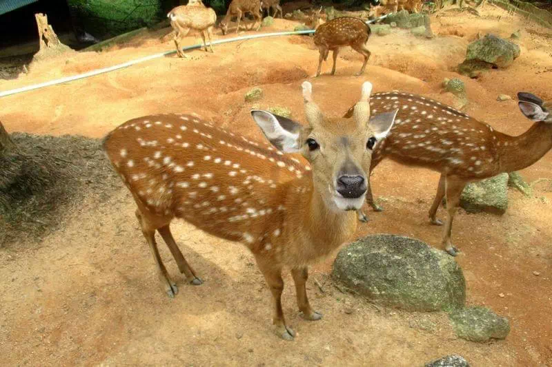 Private tour on Koh Samui view 6