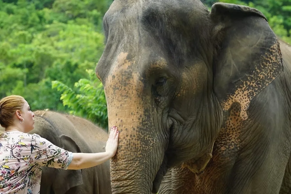 Elephant Camp Koh Samui
