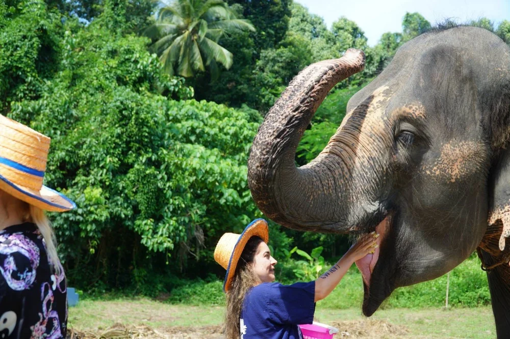 Elephant Camp Koh Samui