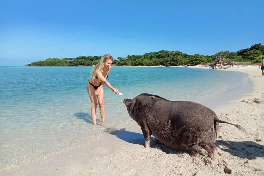 Jet Ski Safari Tour from Koh Samui 10
