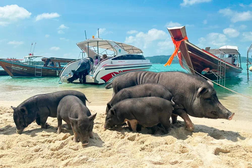 Jet Ski Safari Tour from Koh Samui 13