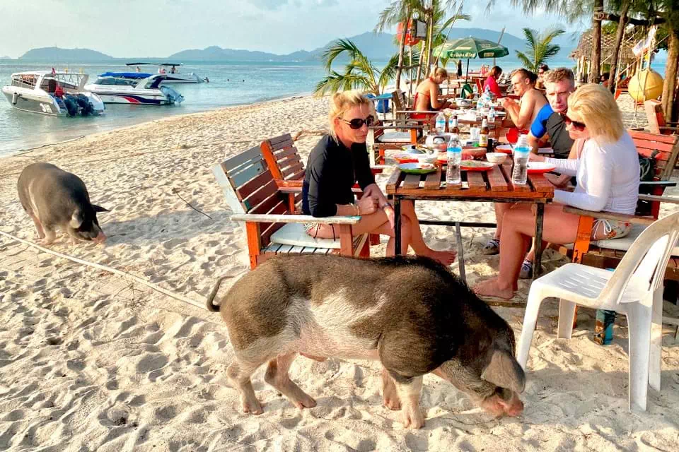 Koh Madsum & Koh Tan VIP Tour view 11