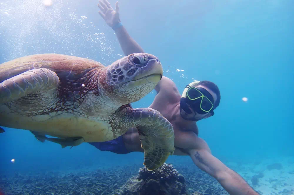 Koh Tao & Koh Nang Yuan image 4