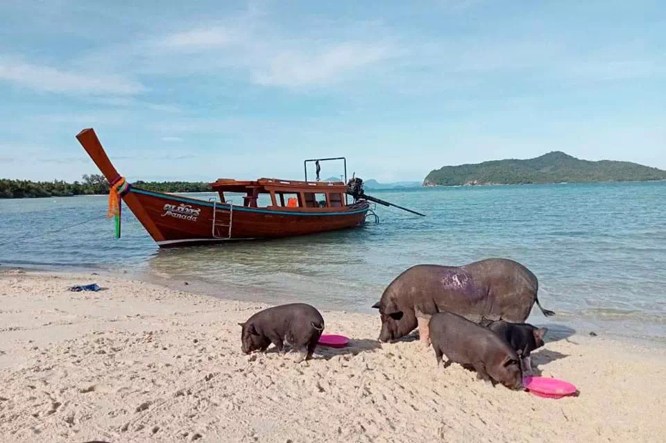 Private VIP Long-tail Boat to Koh Tan Koh Madsum Koh Rap view 5