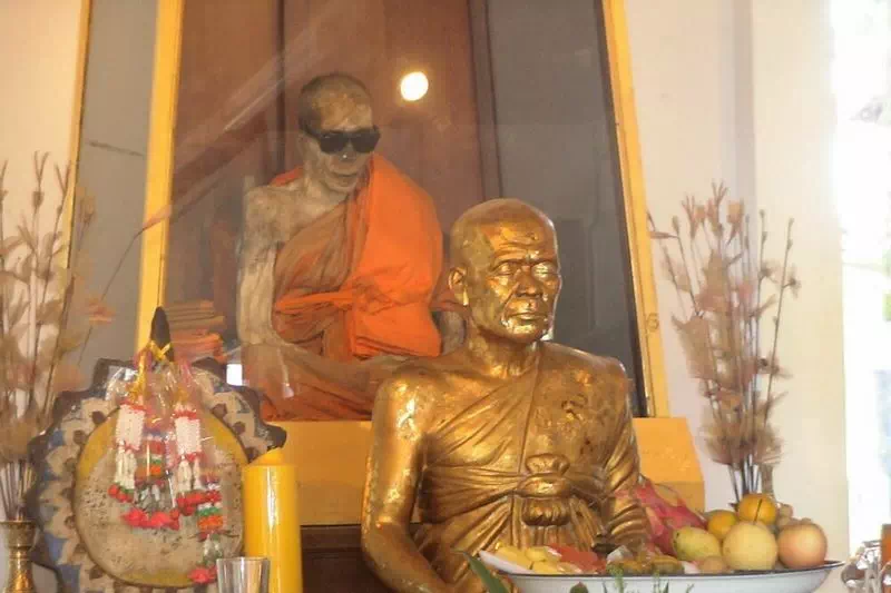 Jungle Safari on military jeep view 6