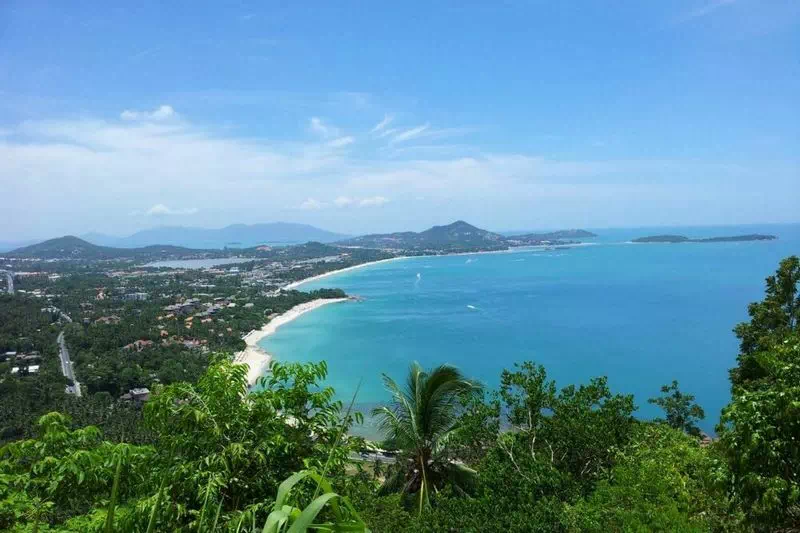 Jungle Safari on military jeep view 7