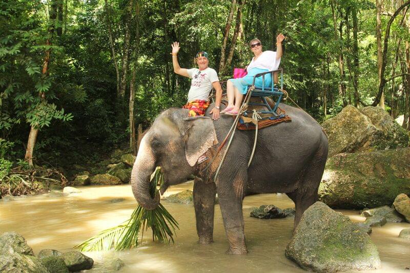 Elephant ride Samui view 2