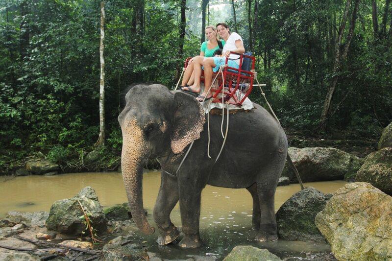 Elephant ride Samui view 4