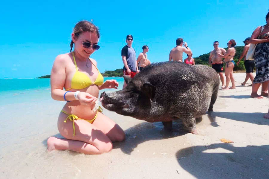 Pig Island Koh Madsum view 3