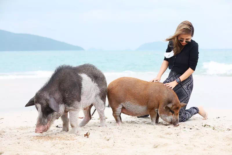 Pig Island Koh Madsum view 4