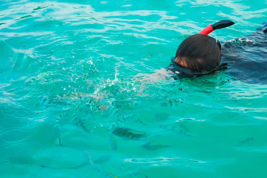 Pig Island Koh Madsum view 7