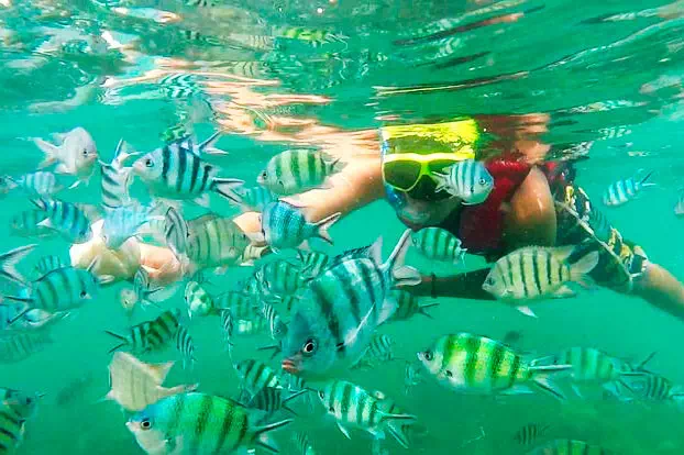 Pig Island Koh Madsum view 9