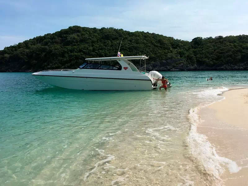Koh Madsum Pig Island - private boat tour from Koh Samui