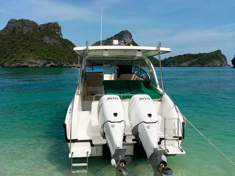 Private speedboat tour Koh Samui - Koh Tan, Koh Madsum, Koh Rap