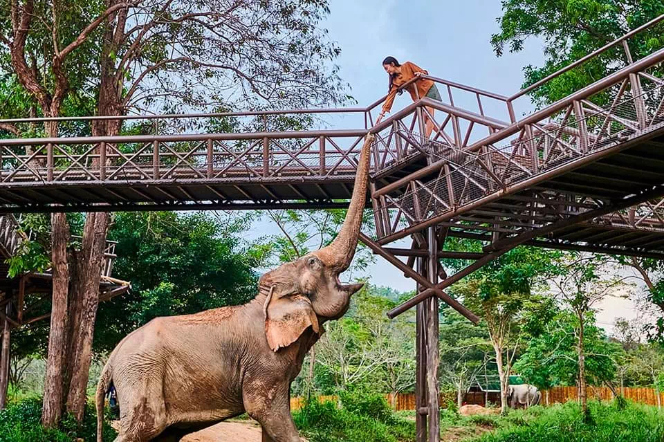 Samui Elephant Kingdom view 1