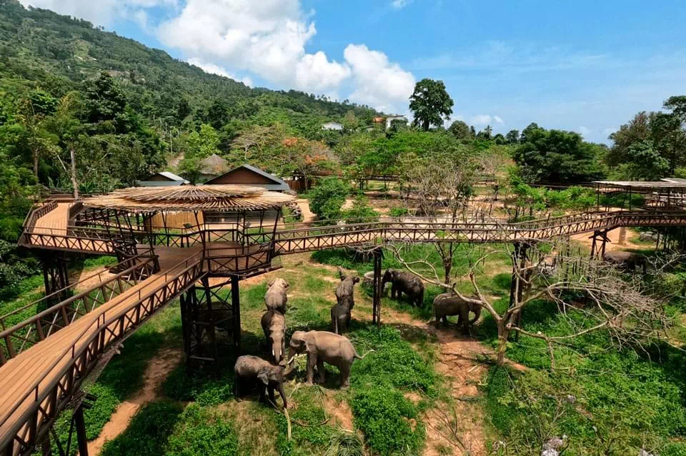 Samui Elephant Kingdom view 3