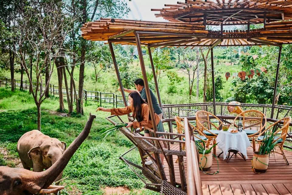 Samui Elephant Kingdom view 9