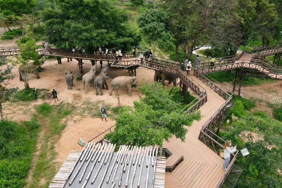 Samui Elephant Kingdom view 10