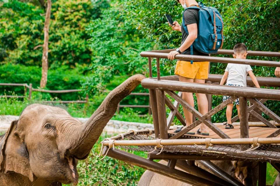 Samui Elephant Kingdom view 15