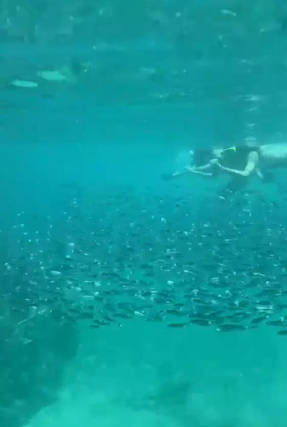 Koh Tao & Nang Yuan Day Trip from Koh Samui story 3