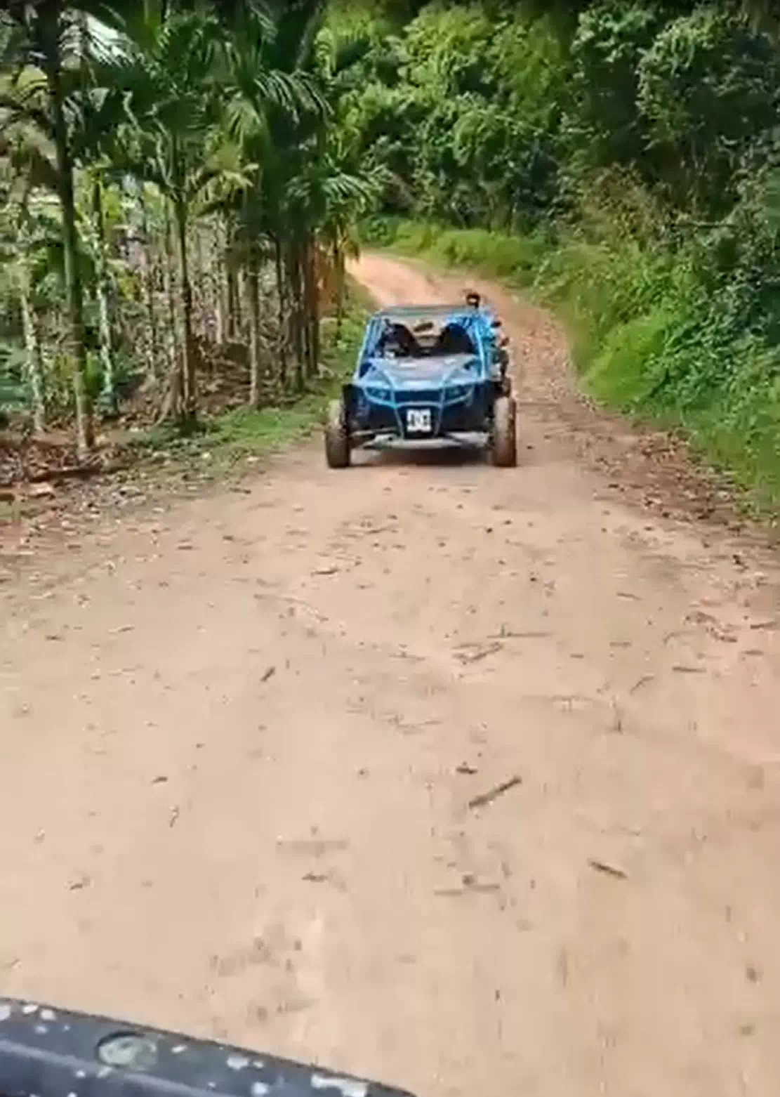 Quad safari Samui mountain panoramic view